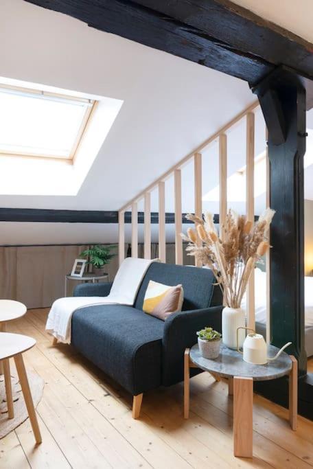 Le Cosy Du Pont Mouja Apartment น็องซี ภายนอก รูปภาพ